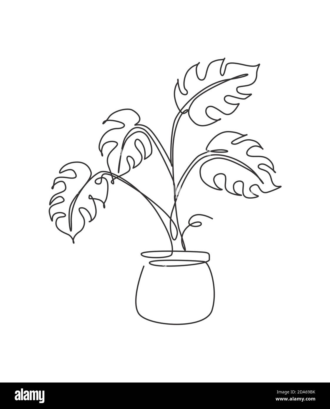 Single continuous line drawing tropical monstera leaf. Botany style ...
