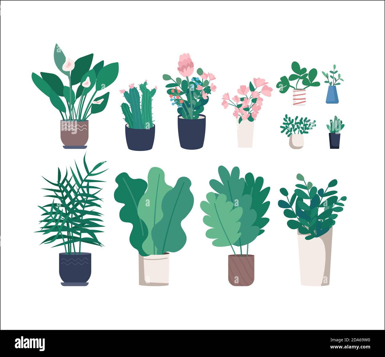 Different houseplants flat color vector objects set Stock Vector