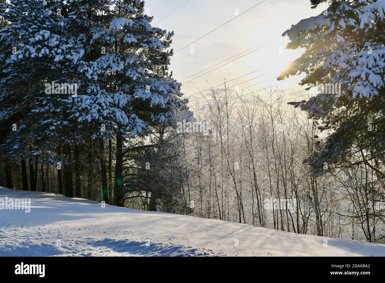 Winter landscape on a sunny clear day. Power lines across the sky. Stock Photo