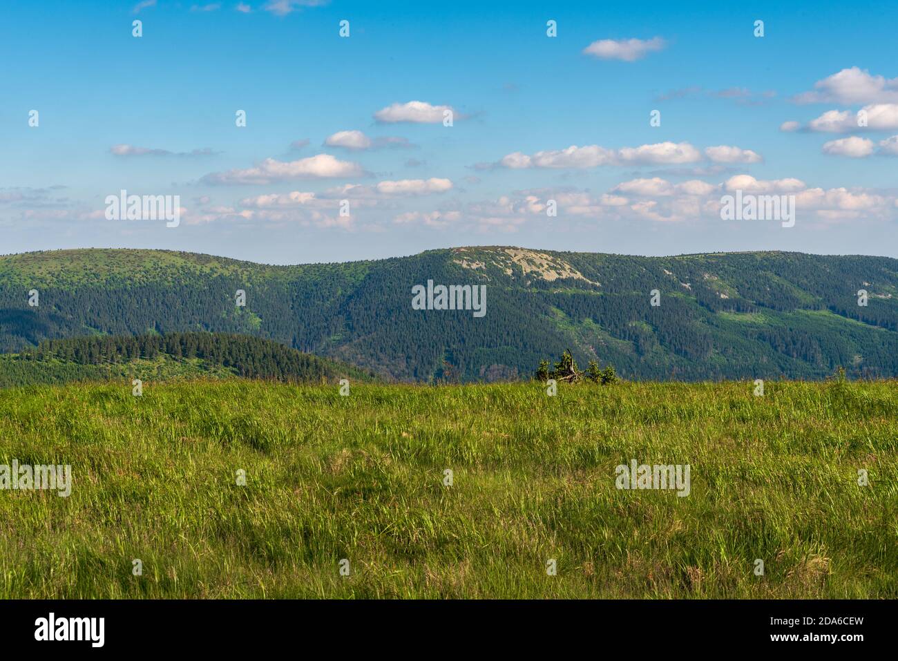 Jeleni hrbet, Bridlicna and Pecny hills from Mravanecnik hill summit in Jeseniky mountains in Czech republic during beautiful summer evening Stock Photo
