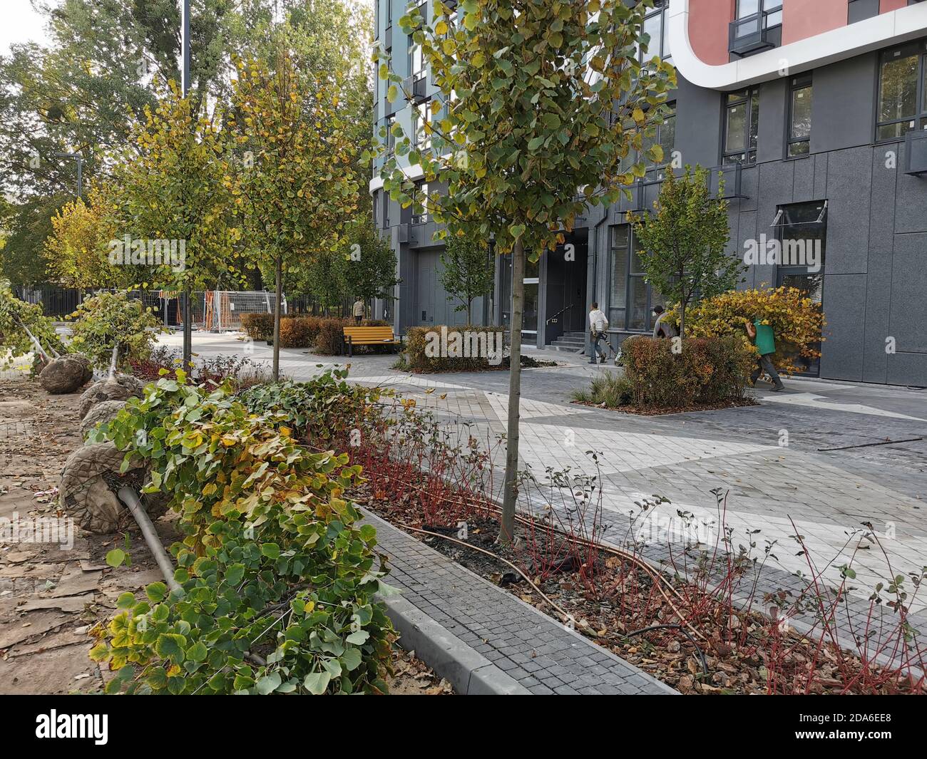 Hartshorn plant hires stock photography and images Alamy