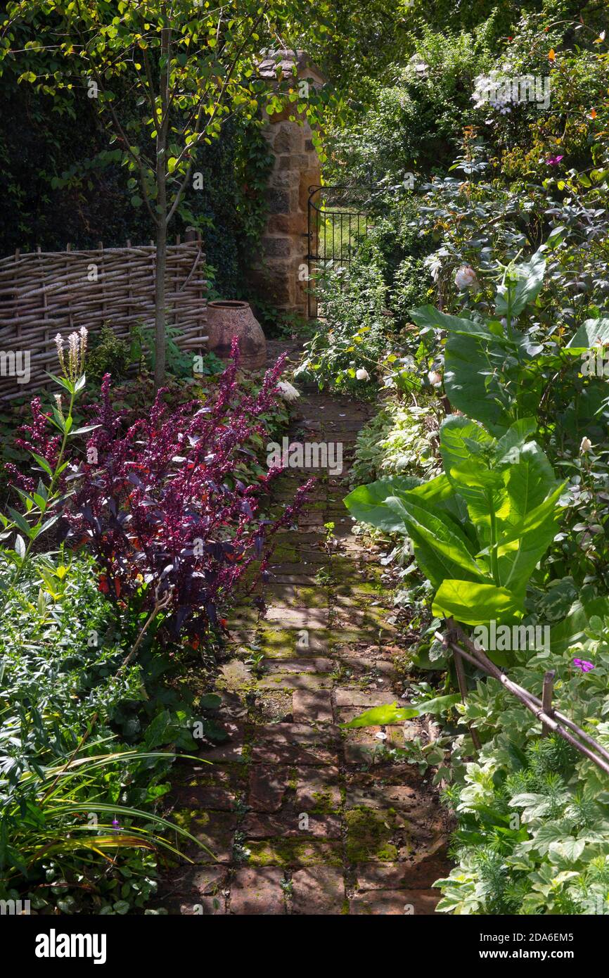 Brick garden path in English Garden,England,Europe Stock Photo