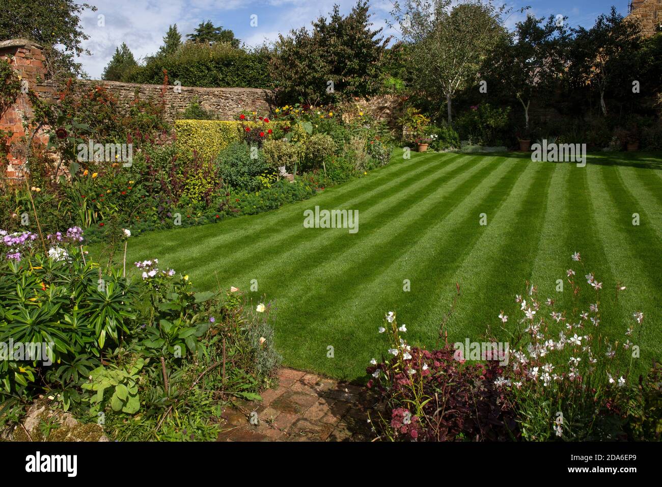 English Garden with Striped lawn and summer boarders,England,Europe Stock Photo