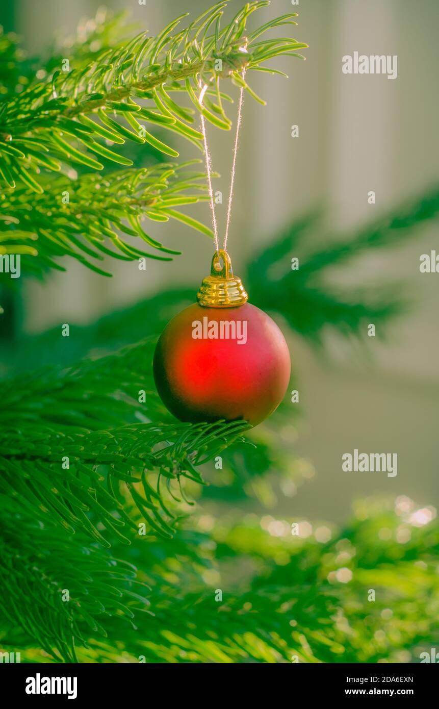 Red Christmas Ornament on a Tree in a Family Home Stock Photo