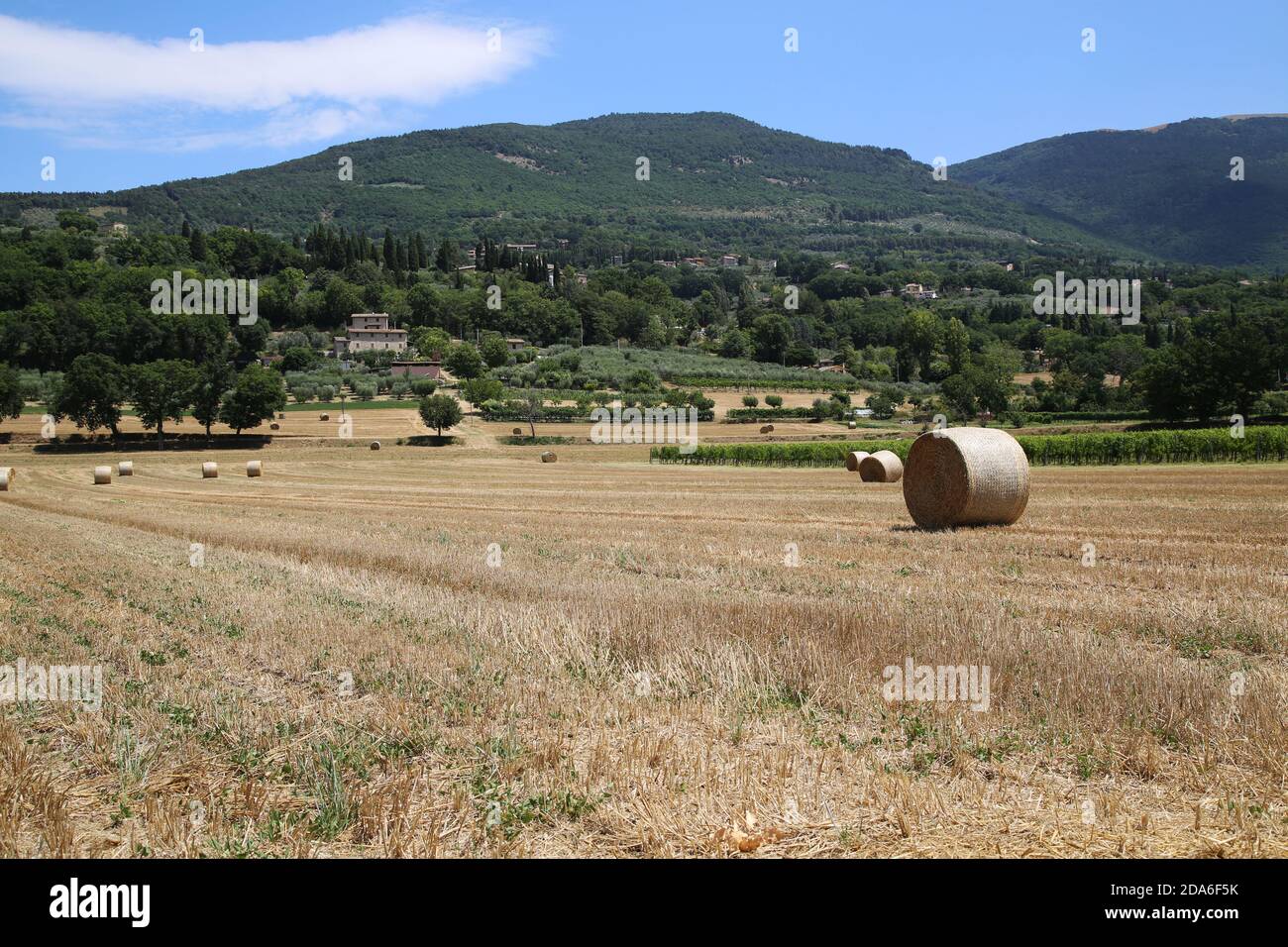 Countryside around the medieval town of Assisi Stock Photo - Alamy