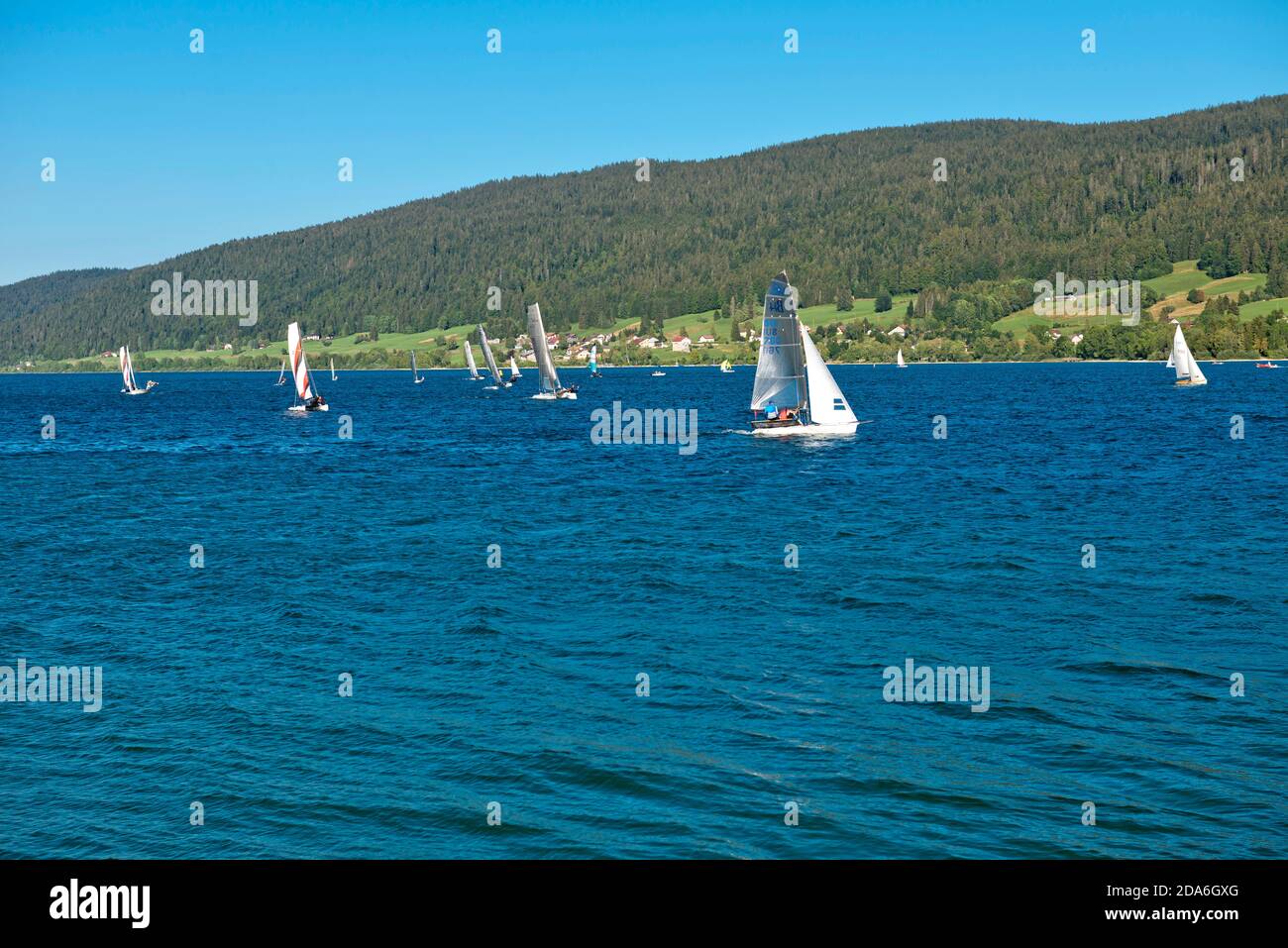 Switzerland, Vaud, Waadt, Vallée de Joux, Parc Jura vaudois, Lac de Joux, sport nautique, Wassersport, water sport, compétition de voile, Segelwettbew Stock Photo