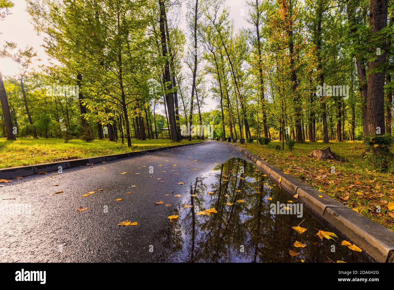 a beautiful autumn landscape in the park on an October day Stock Photo ...