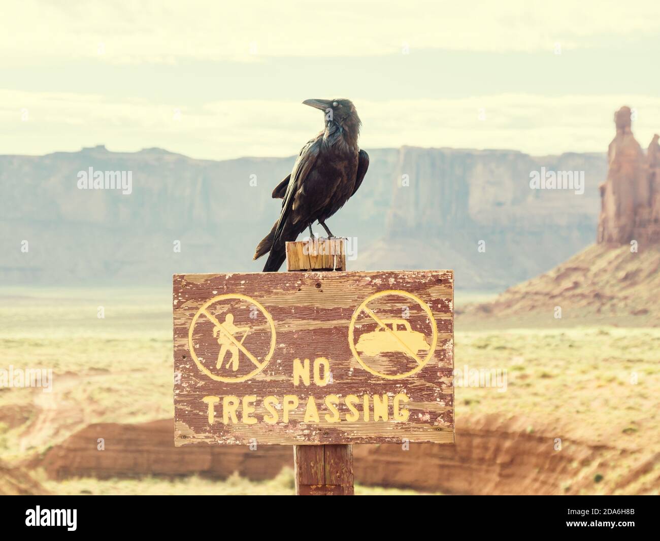 Monument valley utah bird hires stock photography and images Alamy