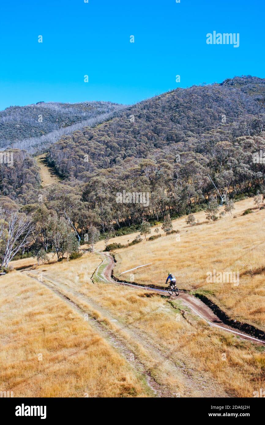 Thredbo Mountain Biking in Australia Stock Photo Alamy