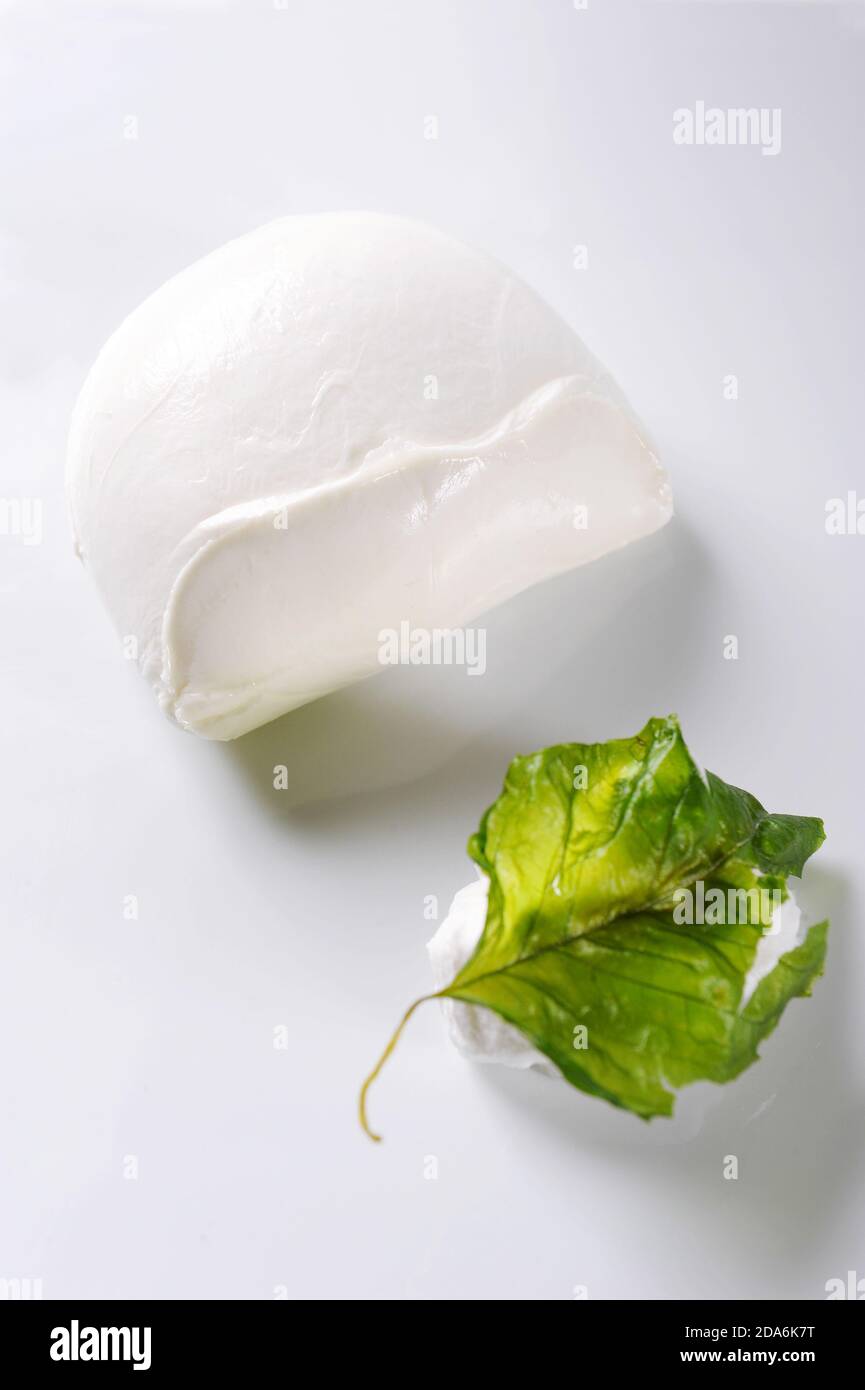 typical Italian dish from the Campania area buffalo mozzarella and fried basil made by a chef with a very elegant design on withe background Stock Photo