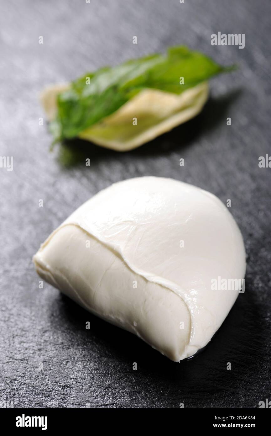 typical Italian meal from the Campania area buffalo mozzarella and fried basil made by a chef with a very elegant design on black dish Stock Photo
