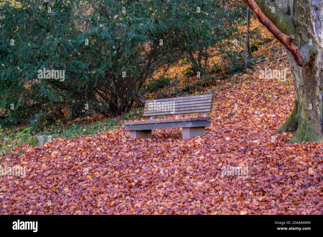 Baden-Württemberg : The bench Stock Photo
