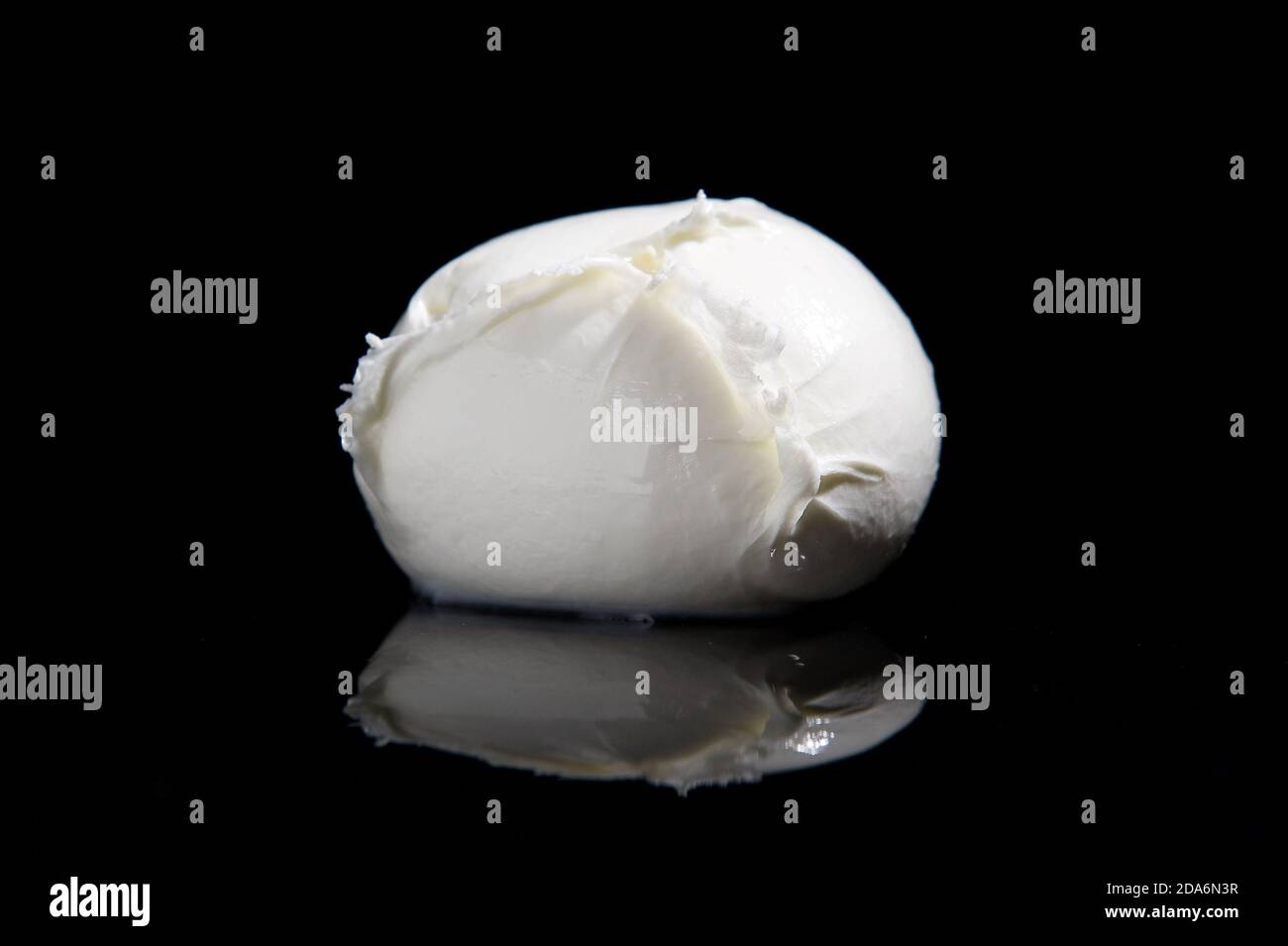 Italian buffalo mozzarella cheese from Campania region Italy on a black