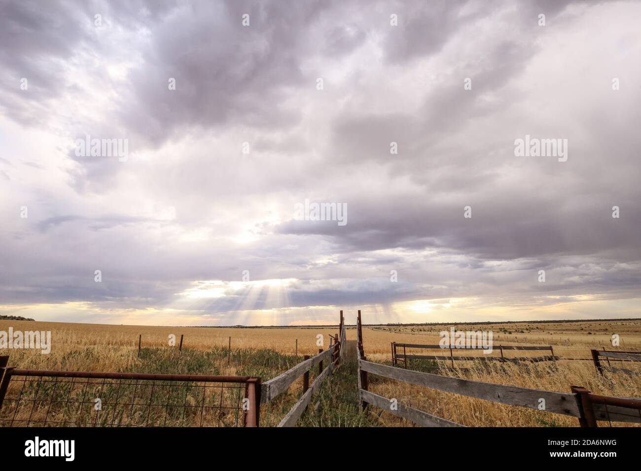 Old farm gates falling over in the countryside Stock Photo