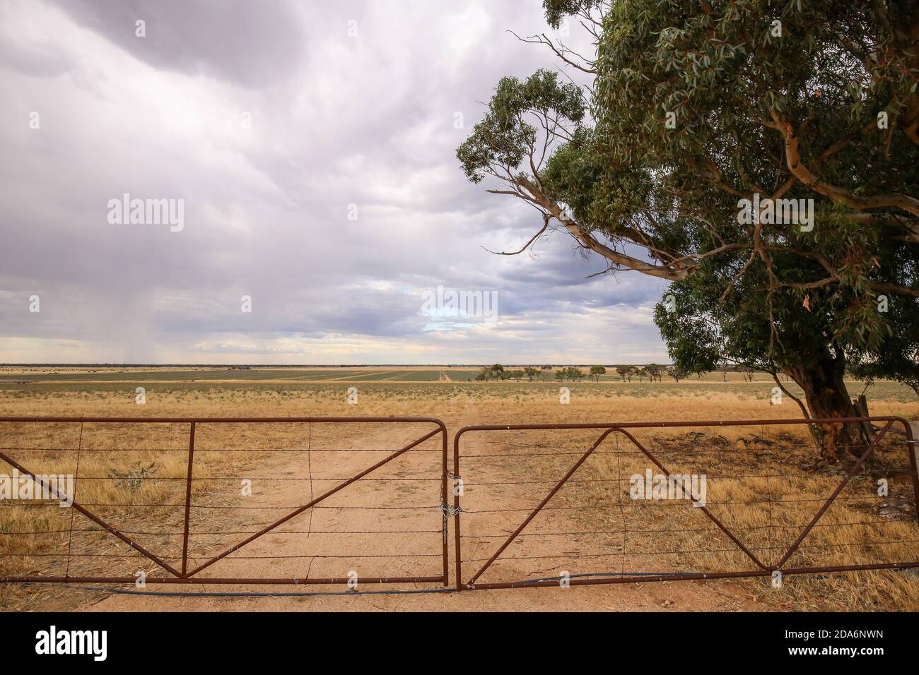 Old farm gates falling over in the countryside Stock Photo
