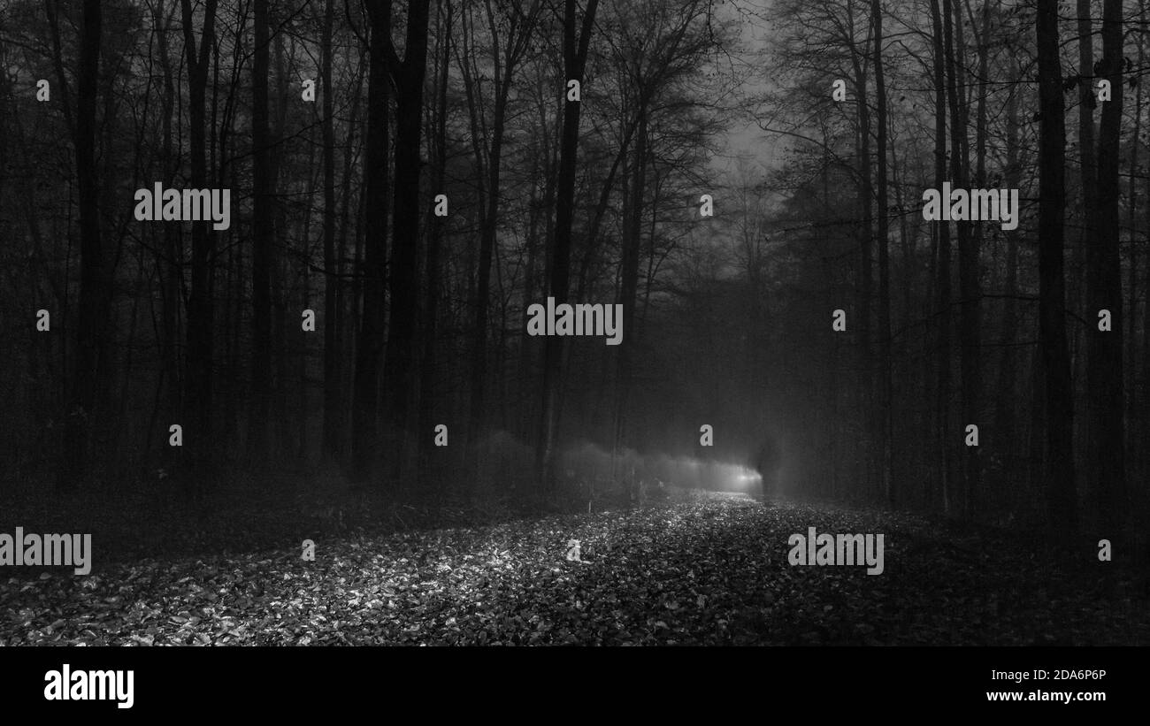 Shadow of man walking on path through foggy winter night forest Stock Photo