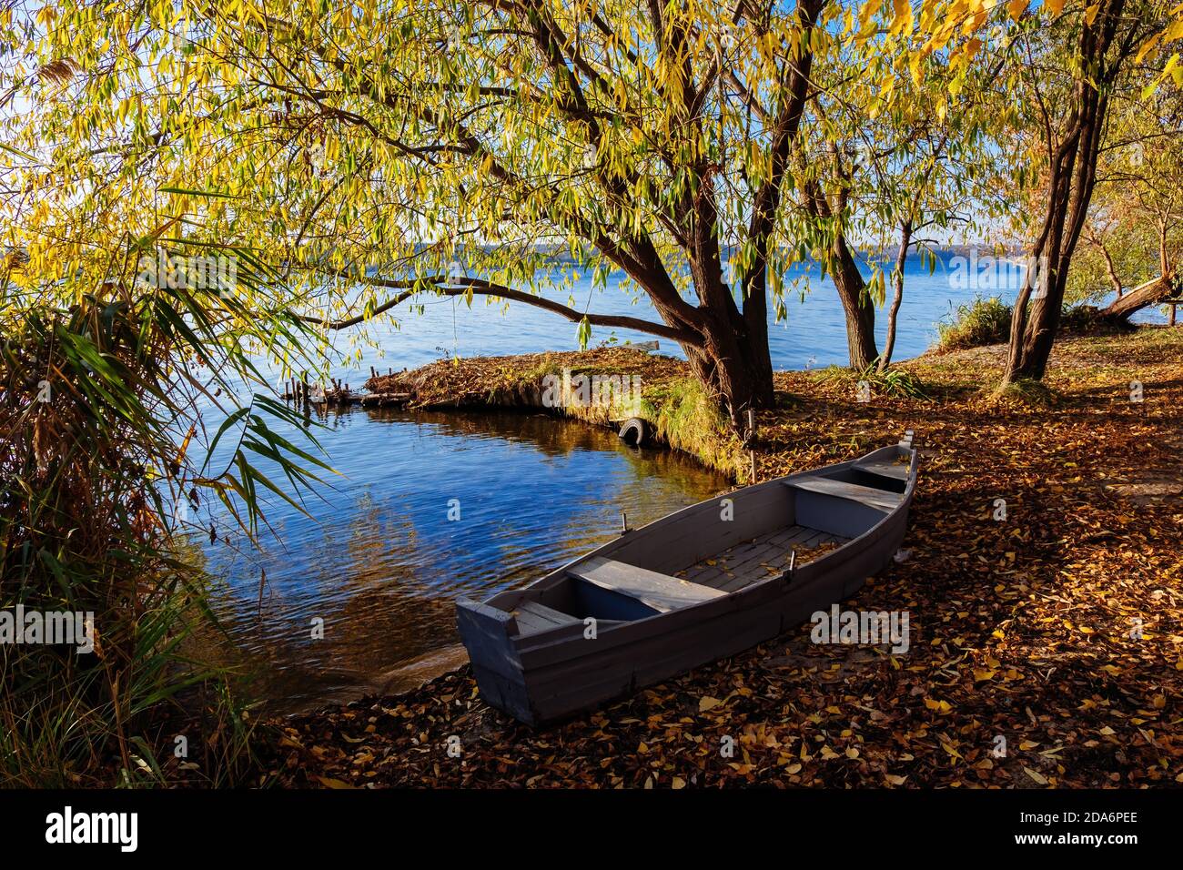 Autumn landscape. Old wooden boat on the river or lake and golden trees ...