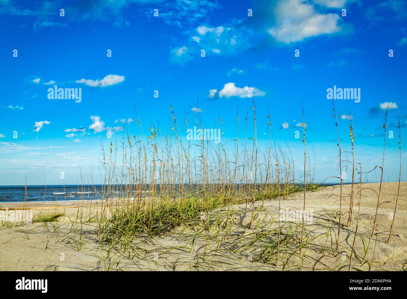 Amelia Island Sand Dunes, Florida Stock Photo Alamy