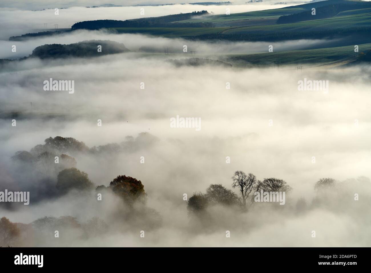 View from the Black Hill near Earlston on a misty autumn morning in the Scottish Borders. Stock Photo