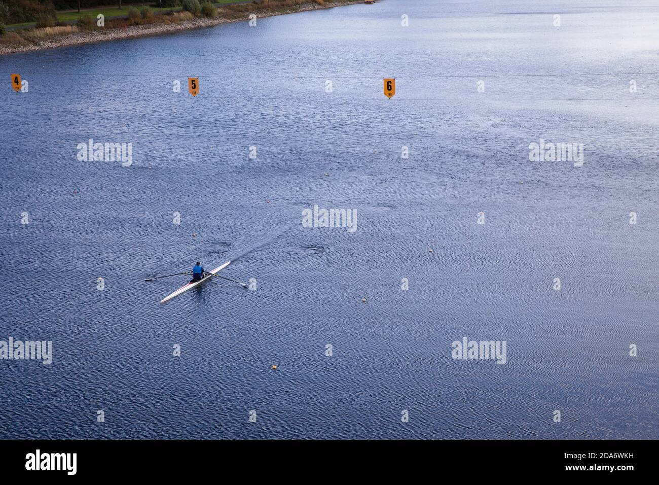 sculler on lake Fuehlingen, rowing course, Cologne, Germany.  Ruderer auf dem Fuehlinger See, Regattastrecke, Koeln, Deutschland. Stock Photo