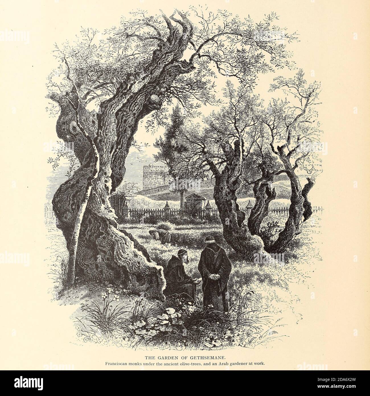 The Garden of Gethsemane Franciscan monks under the ancient olive trees. An Arab gardener at work in the background. from the book Picturesque Palestine, Sinai, and Egypt By  Colonel Wilson, Charles William, Sir, 1836-1905. Published in New York by D. Appleton and Company in 1881  with engravings in steel and wood from original Drawings by Harry Fenn and J. D. Woodward Volume 1 Stock Photo