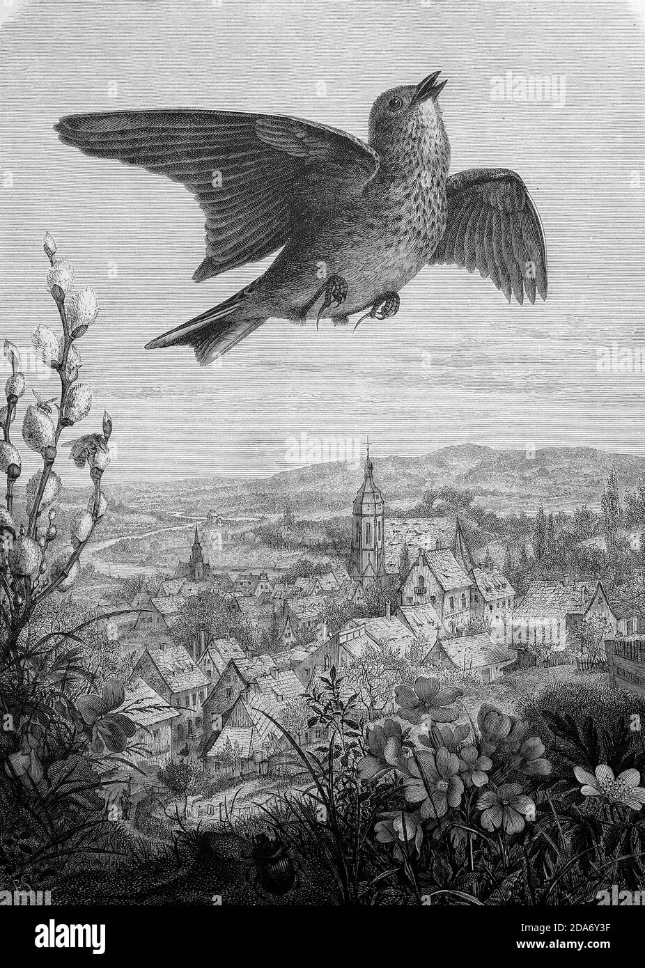 Symbolic image of spring, bird, probably a lark, flying over spring landscape and village, Germany, 1888  /  Symbolbild Frühling, Vogel, wahrscheinlich Lerche, fliegt über Frühlingslanschaft und Dorf, Deutschland, 1888, Historisch, historical, digital improved reproduction of an original from the 19th century / digitale Reproduktion einer Originalvorlage aus dem 19. Jahrhundert, Stock Photo