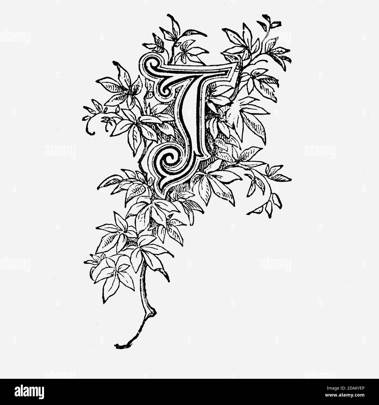 Lettering letter i hi-res stock photography and images - Alamy