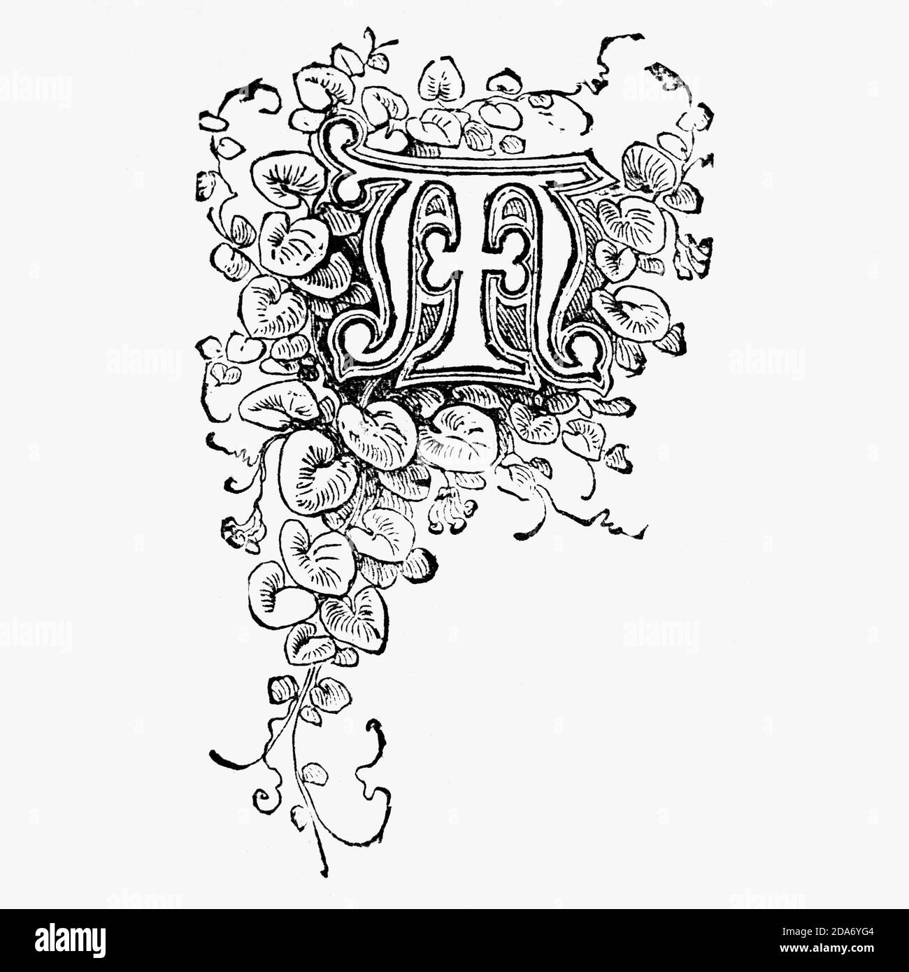 An ornately decorated letter used as an initial or drop cap at the beginning of a word, a chapter, or a paragraph that is larger than the rest of the text. The word is derived from the Latin initialis, which means standing at the beginning. An initial is often several lines in height and in older books or manuscripts, sometimes ornately decorated. Stock Photo