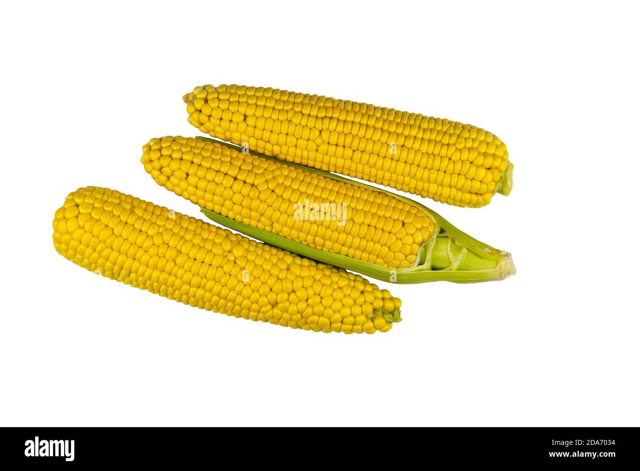 Zea mays. Ripe and fresh corn on the cob isolated on a white background. many varieties that differ in terms of maturation, color and grain size Stock Photo
