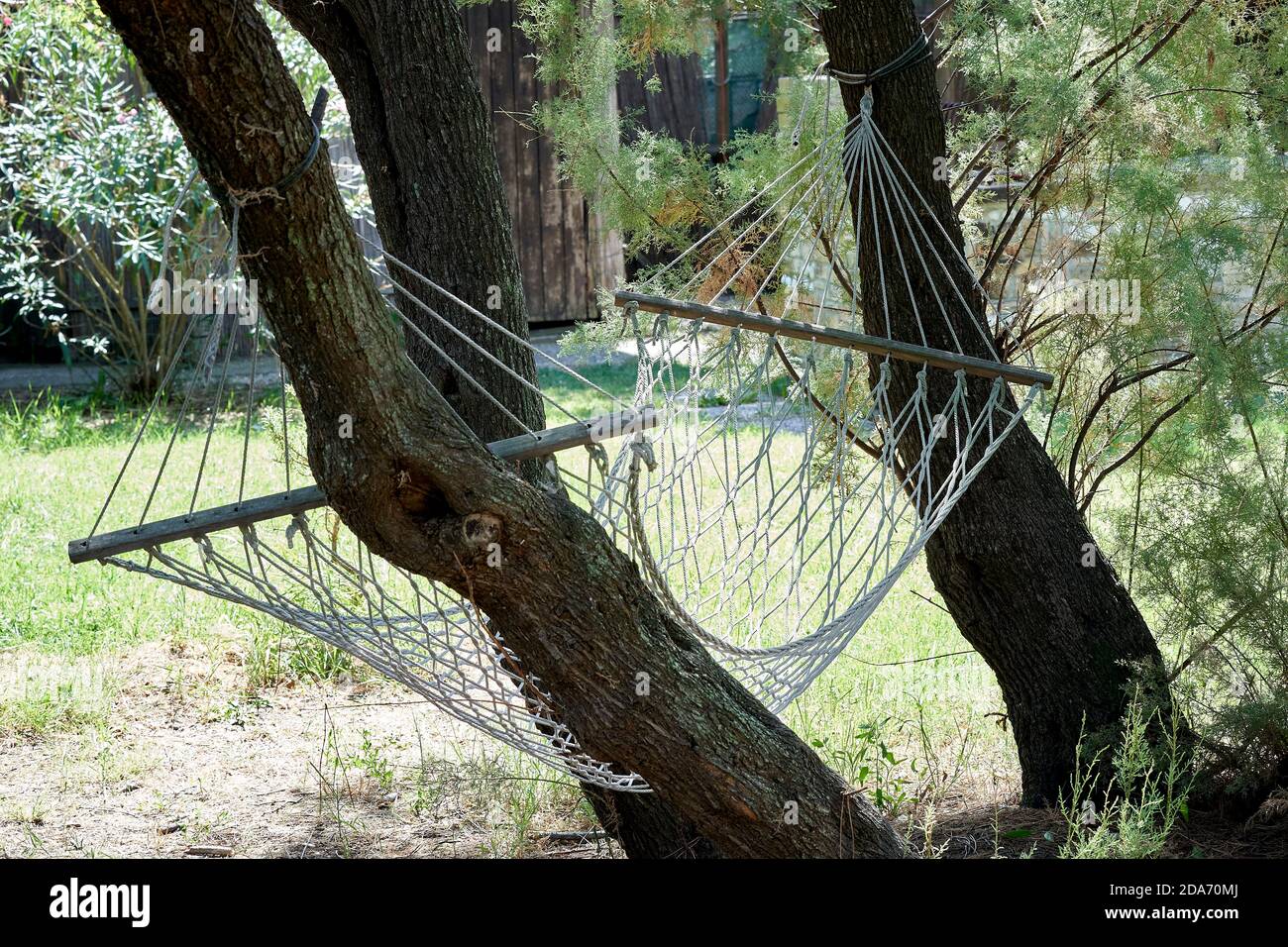 Hammock lying between two trees Stock Photo Alamy