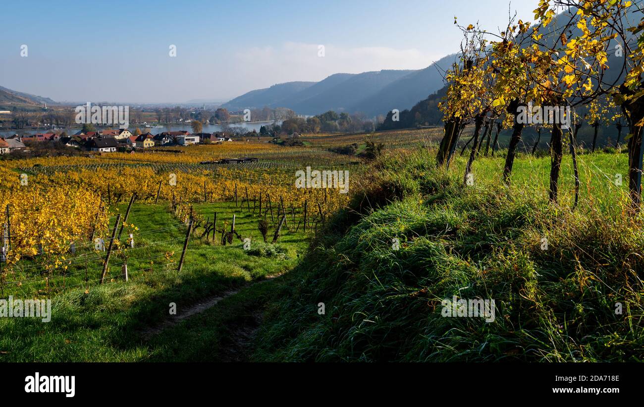 Wachau (Austria) valley on a sunny day in autumn, colored leaves Stock Photo