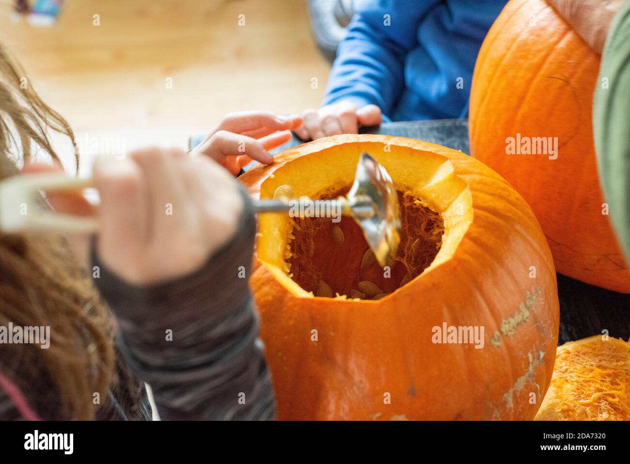 Sheffield UK –  October 30 2019 : Halloween preparations as the children get busy hollowing out and carving the Jack O Lanterns Stock Photo