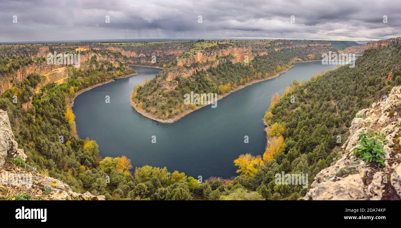 sickles of the duraton river in autumn, yellow poplars Stock Photo