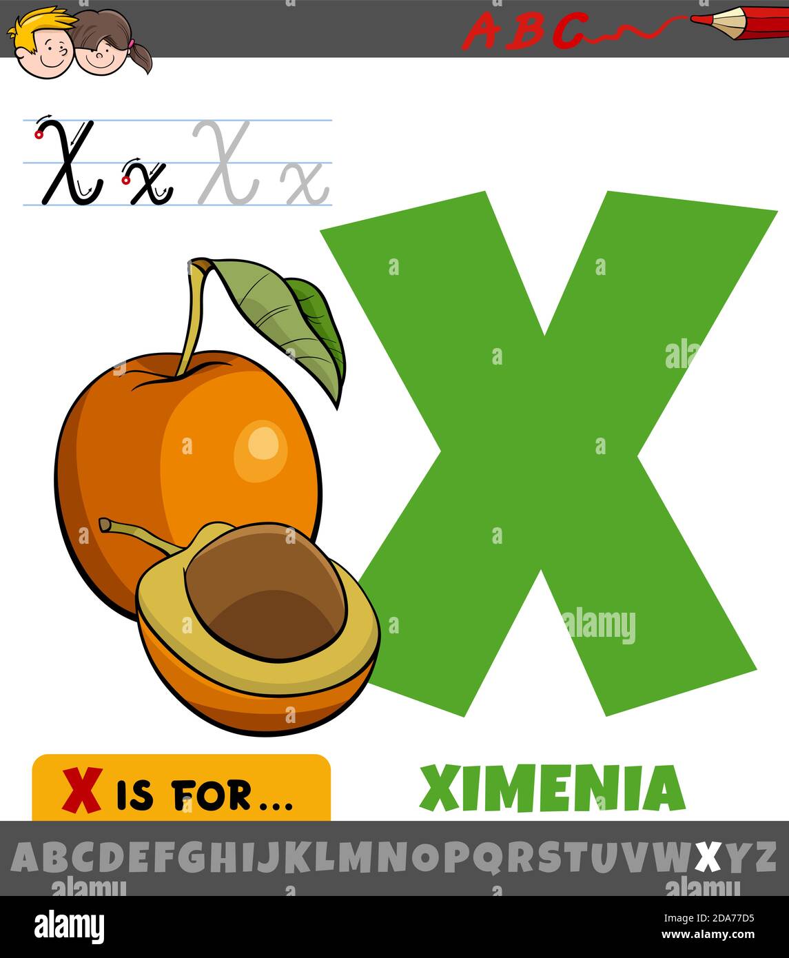 Educational cartoon illustration of letter X from alphabet with ximenia fruit for Children Stock Vector