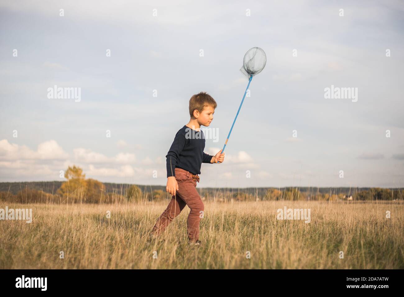 Young boy with butterfly net walking meadow. Child playing catching insects. Seasonal summer activity for kids outdoor. Learning animal fauna world ho Stock Photo