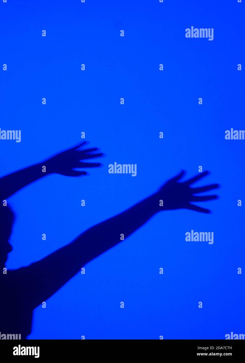 Hands shadow bird hi-res stock photography and images - Alamy