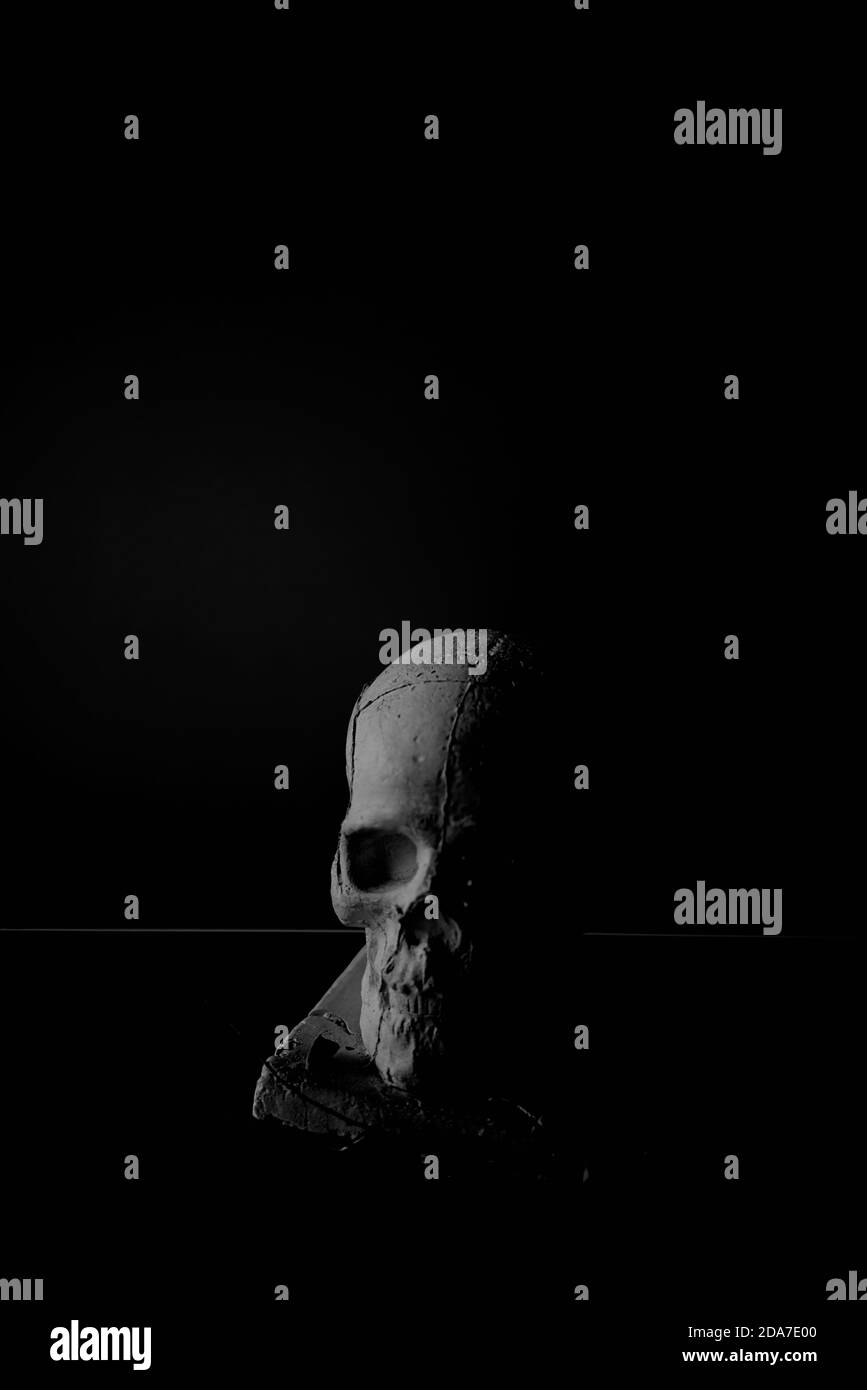 Human Bony Skull Stock Photo