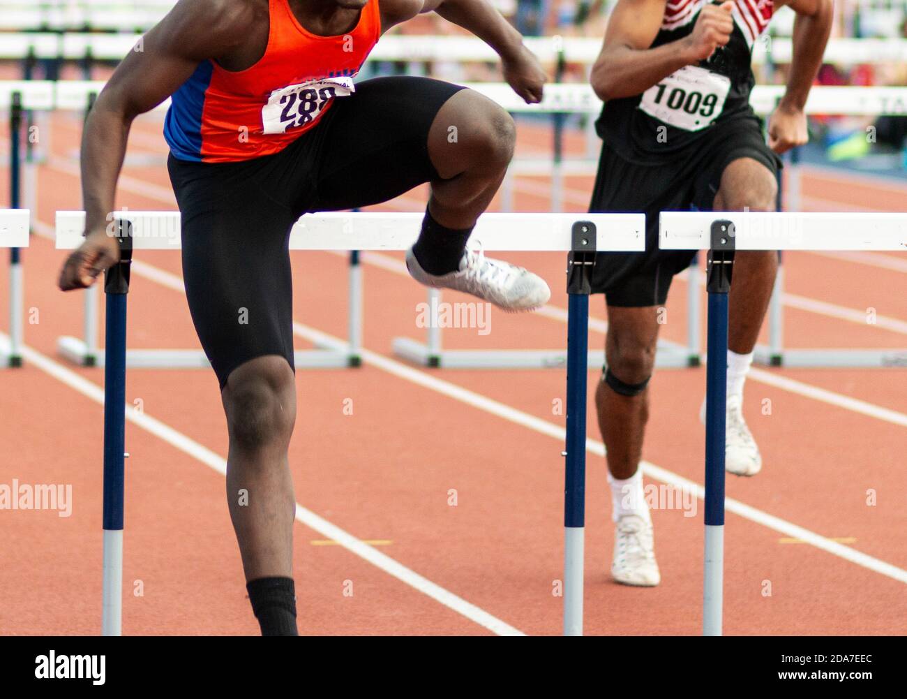 An african american sprinter running in a hurdles race at in indoor track and field competition landing in front of a hurdle. Stock Photo
