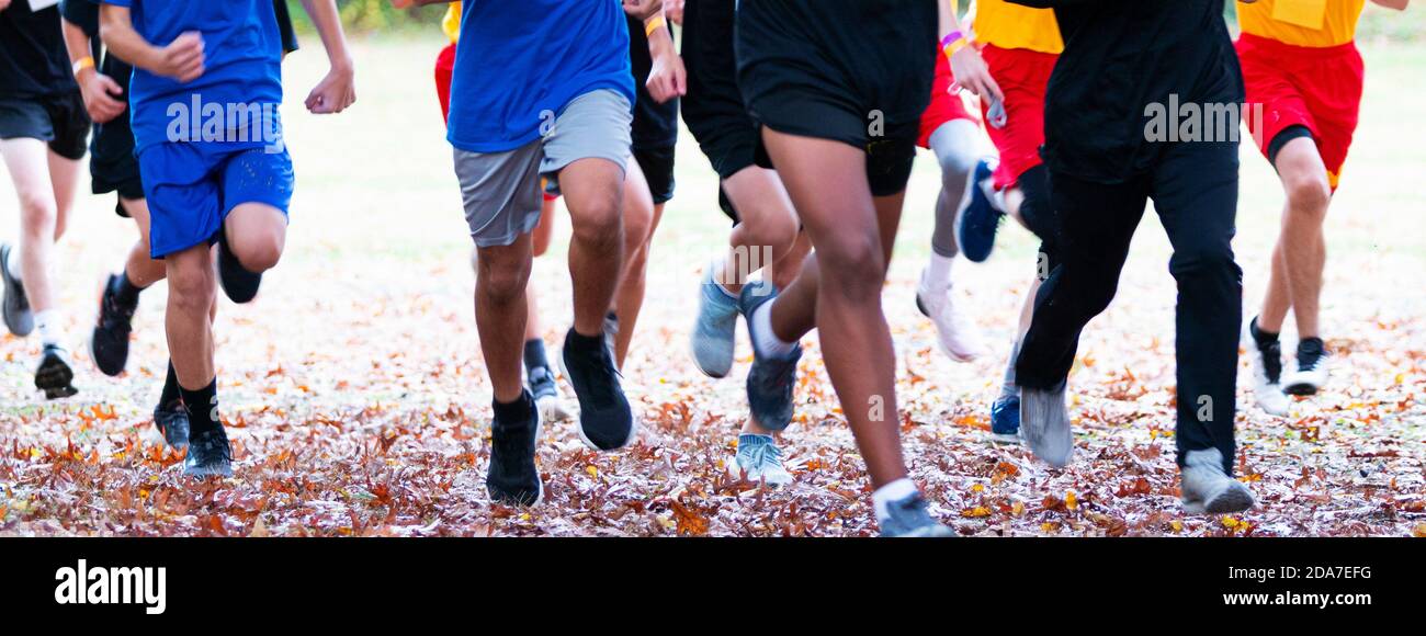 High school freshmen cross country runners running a race in autumn