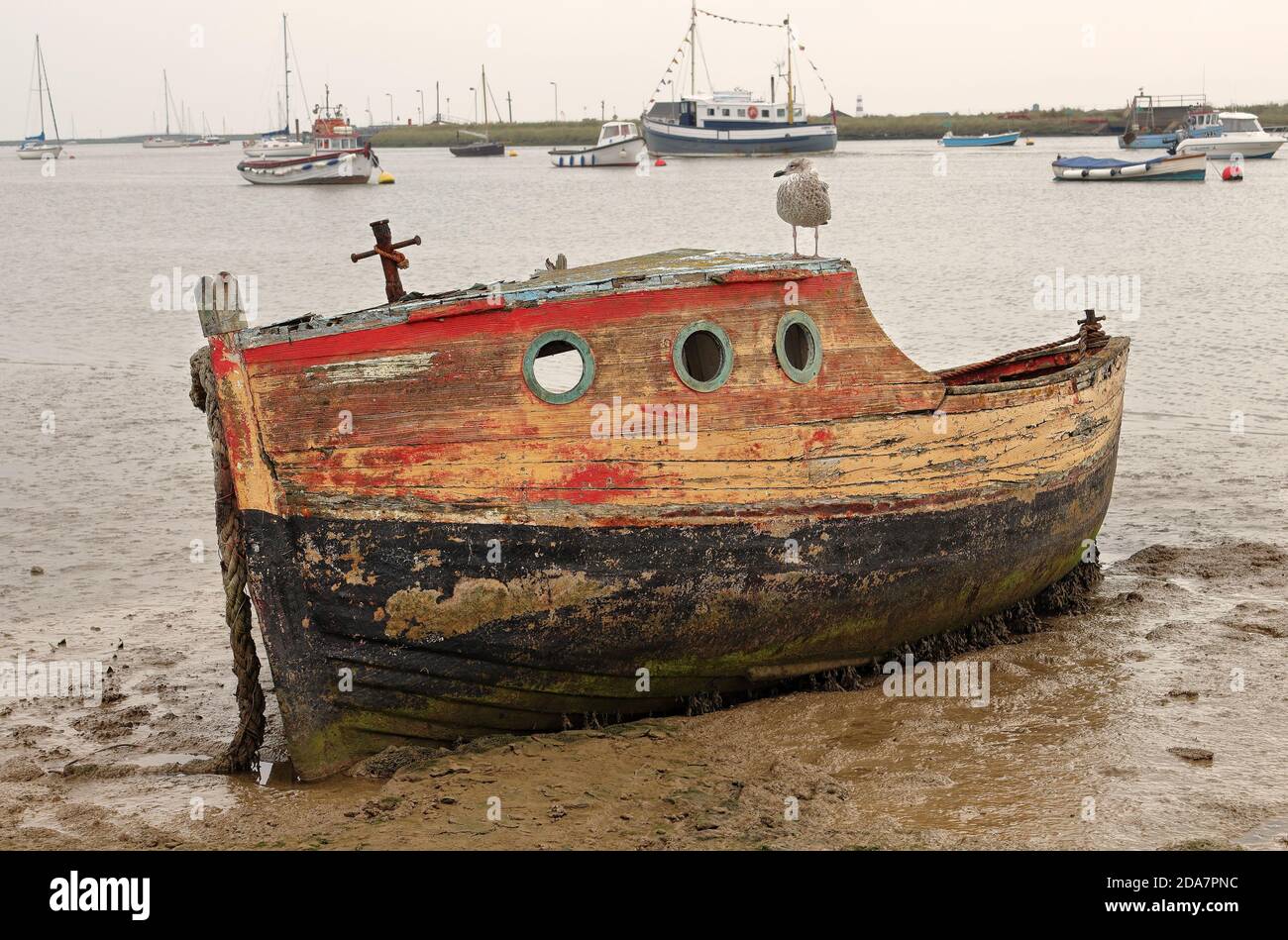 Boat wreck on a tidal estuary in Suffolk, UK, with seabird perched on ...