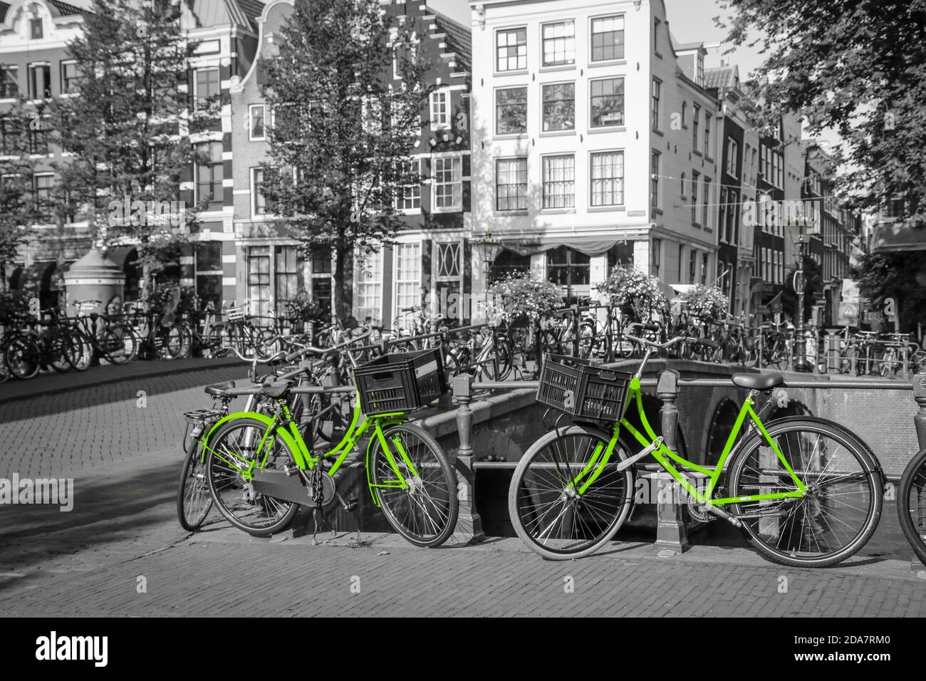 Two fresh green bikes on the streets of Amsterdam. Symbol for clean and ecological urban transport. Isolated in a black and white background. Stock Photo