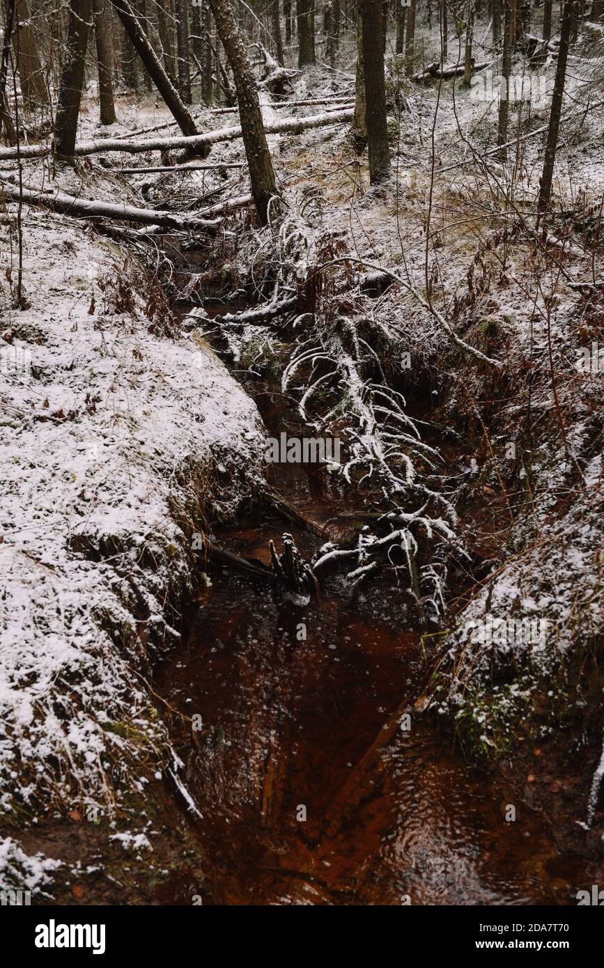 First stream after winter hi-res stock photography and images - Alamy