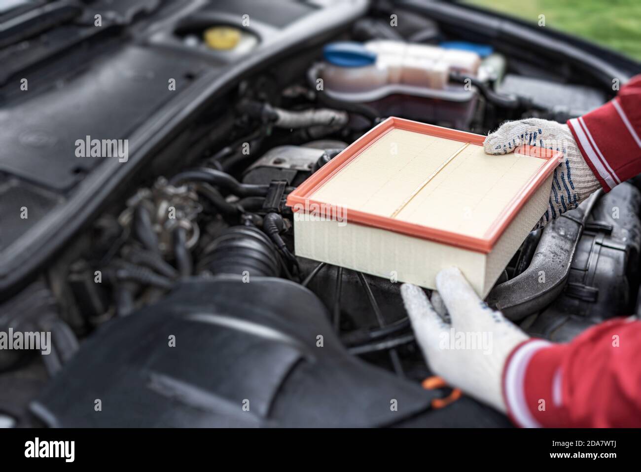 The technician is changing the diesel fuel filter Stock Photo Alamy