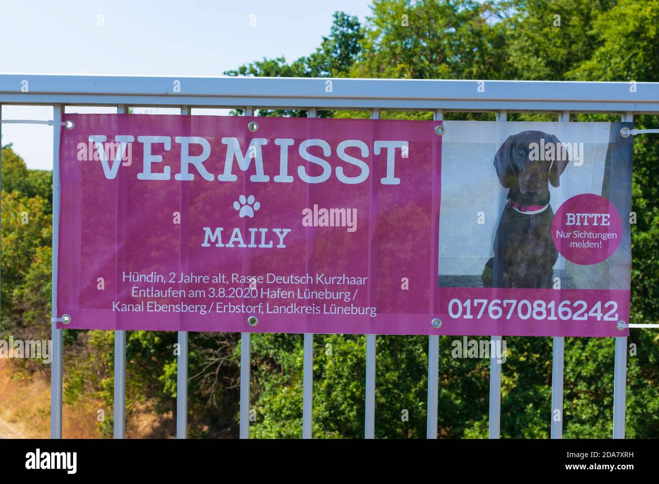 Scharnebeck: big missing dog search sign, Lüneburger Heide, Lüneburg Heath, Niedersachsen, Lower Saxony, Germany Stock Photo