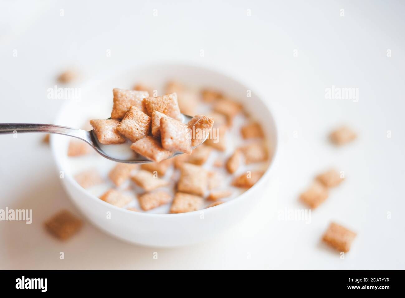Dry breakfast cereal pads with milk on a white concrete background  Stock Photo