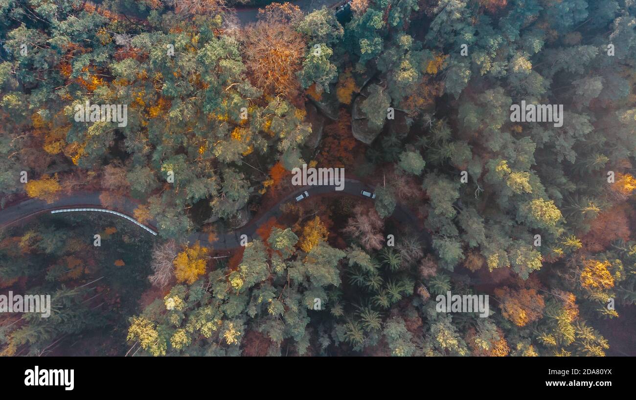 Fall forest landscape with rural road view from above. Colorful nature background. Autumn forest aerial drone view.Idyllic fall scenery from a birds Stock Photo