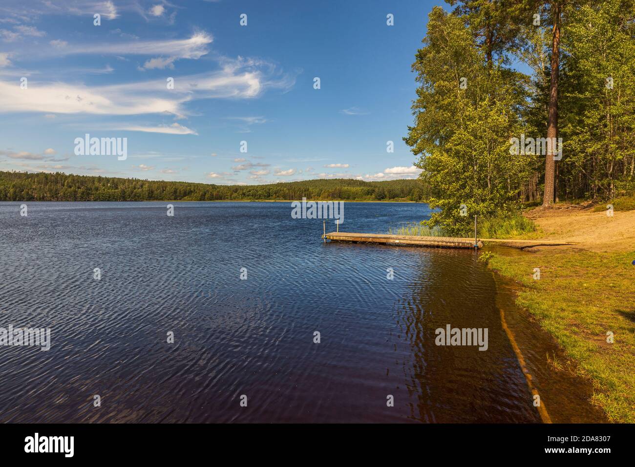 eautiful view of calm lake water surface with local swimming plays Coast line merges with horizon line. Green plants and blue sky on background. Stock Photo