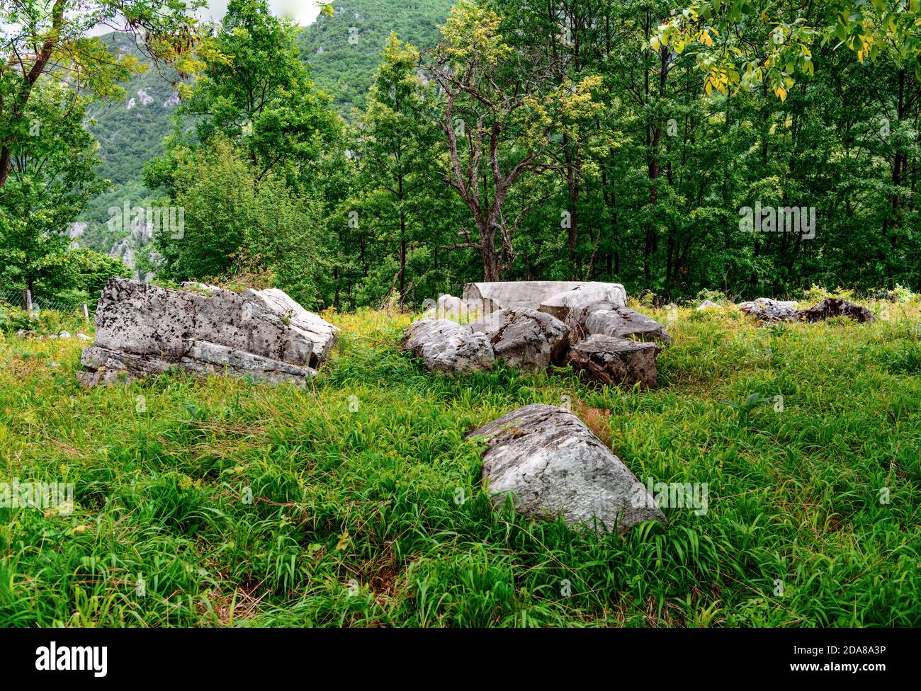 Medieval tombstones from 13Th century called Mramorje or Urosevine, located on Tara mountain near Krizevac village.Necropolis of different shapes. Stock Photo