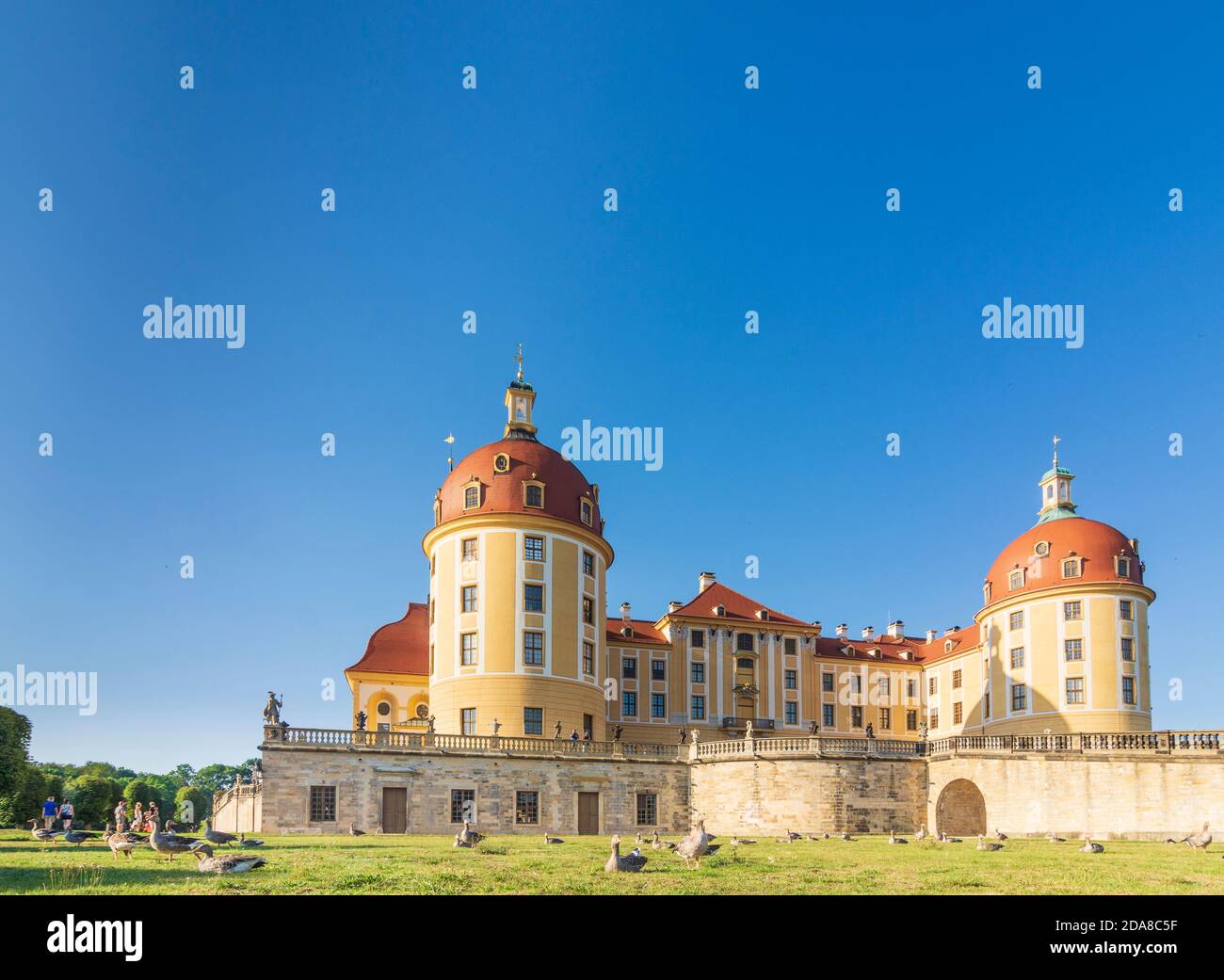 Moritzburger teiche hires stock photography and images Alamy