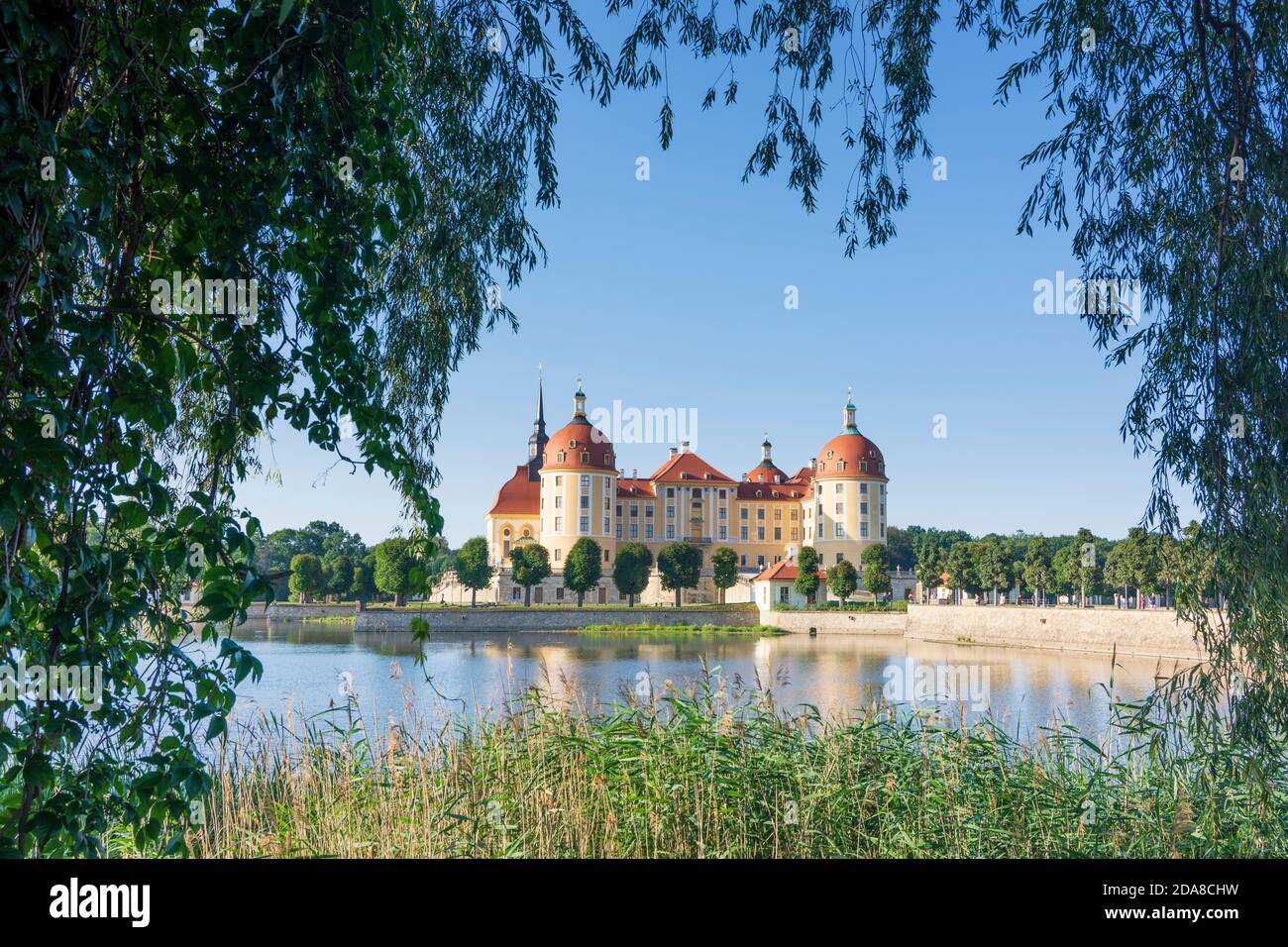 Moritzburg Schloss Moritzburg Castle, Moritzburger Teiche, Moritzburg